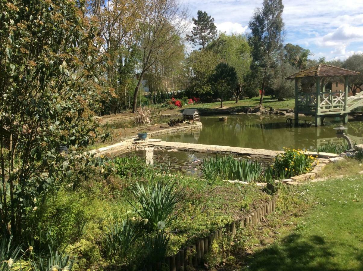 Gite Le Bois De Montpouillan Marmande Exterior photo